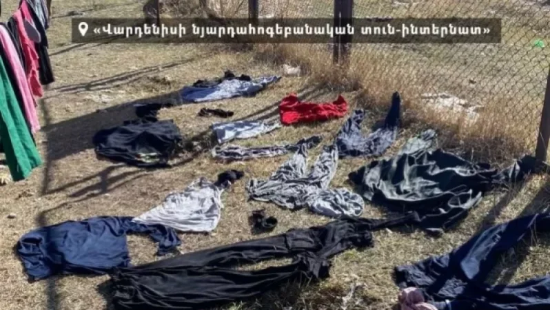 Լուրջ խնդիրներ Վարդենիսի նյարդահոգեբանական տուն-ինտերնատում