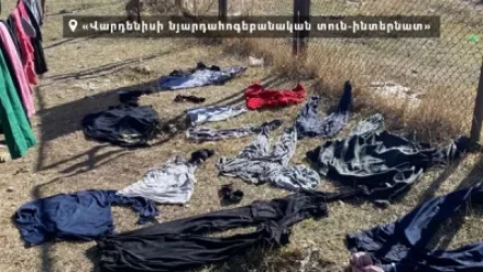 Լուրջ խնդիրներ Վարդենիսի նյարդահոգեբանական տուն-ինտերնատում