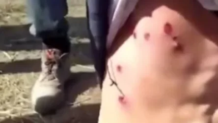 18+ ՏԵՍԱՆՅՈՒԹ. Ադրբեջանում ցուցարարների վրա կրակել են