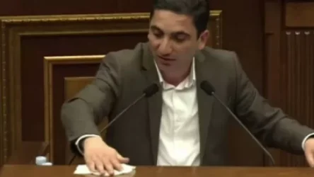 Հոխիկյանը ելույթից առաջ ախտահանեց ԱԺ ամբիոնը