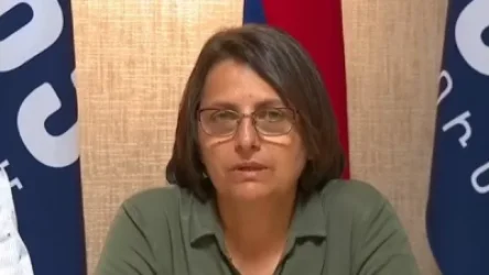 Շարժման ներսում կա՞ պառակտում. Կարին Տոնոյանը պատասխանում է