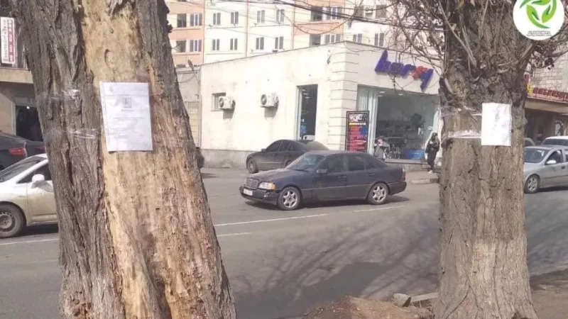 Այսուհետ հատման և փոխարինման ենթակա ծառերի վրա կփակցվի ծառահատման տոմսով գրություն