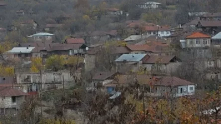 Գիշատիչ կենդանի է հայտնվել Ասկերանում