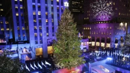 ՏԵՍԱՆՅՈՒԹ․ 400 կգ-ից ավելի քաշ ունեցող Սվարովսկու բյուրեղներով աստղ․ Նյու Յորքում տոնածառ է տեղադրվել