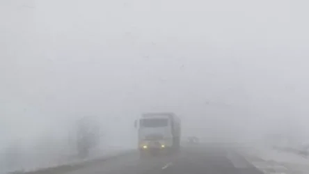 Վարդենյաց լեռնանցքում մառախուղ է