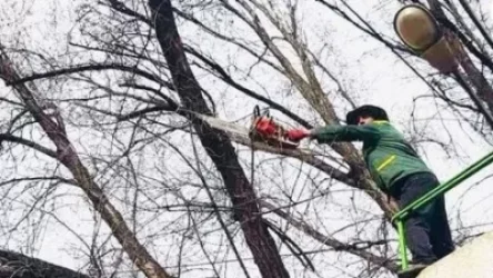 Երևանի որոշ փողոցներ մասամբ փակ կլինեն․ ծառերի էտ է