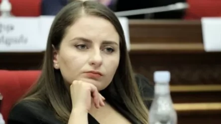 Թիմը նեղվում է. ընդդիմադիր պատգամավորը՝ Նիկոլ Փաշինյանի գրառման մասին