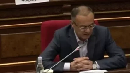 ՏԵՍԱՆՅՈՒԹ. Ծեծկռտուքը եղել է ծրագրավորված ու այլ շենքից հրահանգավորված