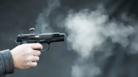 Դանակահարություն և կրակոցներ Էրեբունիում