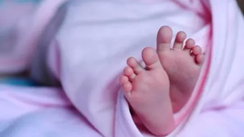 Նորածնի դիակը մասնակի ծածկված է եղել պոլիէթիլենային պարկերով` կողքին խաղալիք, սննդի մնացորդներ. ՔԿ