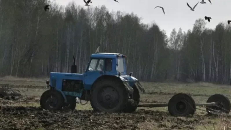 Ադրբեջանական կողմը կրակ է բացել տրակտորիստի ուղղությամբ. Մաճկալաշենի համայնքապետ