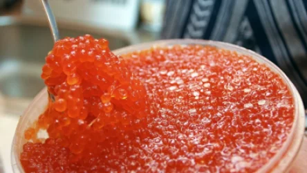 Հայաստանից սիգի ձկնկիթի արտահանման ժամանակավոր արգելք կսահմանվի