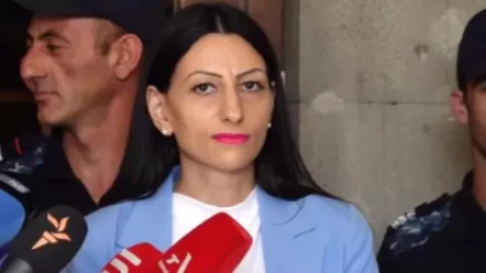 ՏԵՍԱՆՅՈՒԹ. Պիտի երաշխավորվի լրագրողի աշխատանքը պետական մարմիններում. ՄԻՊ-ը՝ ԲԴԽ-ում միջադեպի մասին