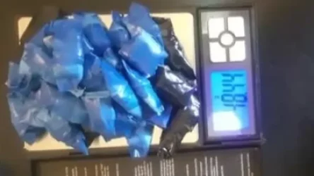 ՏԵՍԱՆՅՈՒԹ.  Telegram-ով մարիխուանա իրացրած երիտասարդը ձերբակալվել է