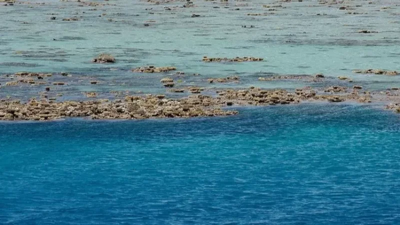 Երկրի վրա ձևավորվում է օվկիանոս, որն Աֆրիկան կկիսի է երկու մասի. Economic Times