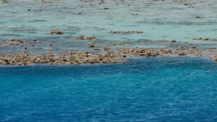 Երկրի վրա ձևավորվում է օվկիանոս, որն Աֆրիկան կկիսի է երկու մասի. Economic Times