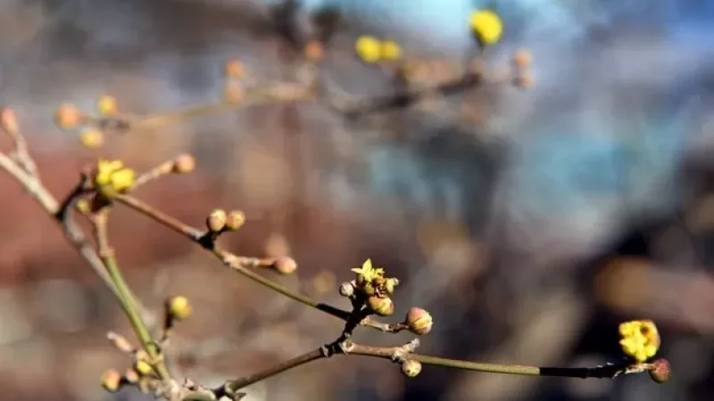 Ինչպիսին է մարտի 28-ի եղանակը