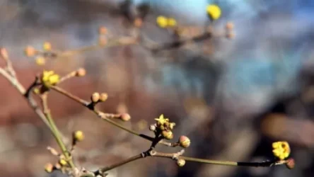 Ինչպիսին է մարտի 28-ի եղանակը