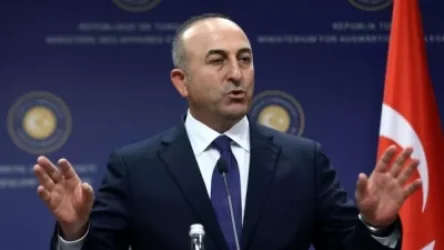 Չավուշօղլուն՝ Երևան-Ստամբուլ չվերթերի մասին