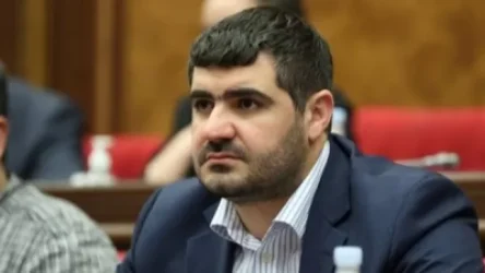 Ալիևի կարծիքն եք Հայաստանում տարածո՞ւմ, Ալիևի պրոպագանդի՞ստն եք. Եղոյանը` լրագրողին