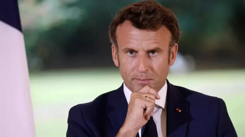 Մակրոնին «աղբ» անվանած ֆրանսուհուն բանտ է սպառնում