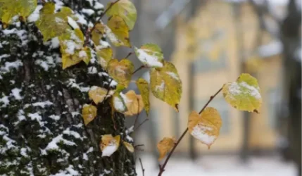 Եղանակը՝ առաջիկա օրերին