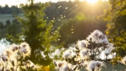 Ինչ եղանակ սպասել առաջիկայում