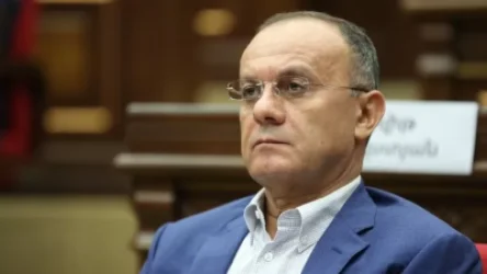 ԱԱԾ-ն իր սահմանապահ կարողություններով չի կարող պաշտպանություն կազմակերպել ՀՀ սահմաններում. Սեյրան Օհանյան