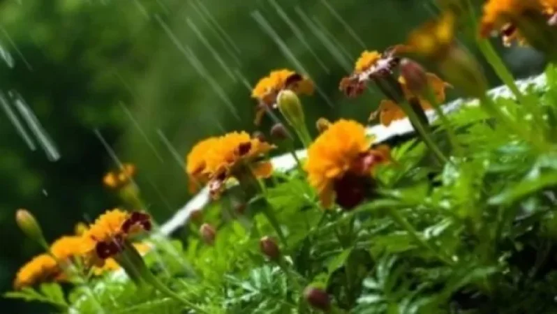 Եղանակը Հայաստանի տարածքում