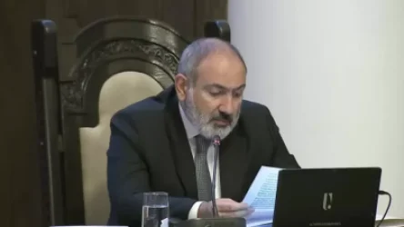 ՏԵՍԱՆՅՈՒԹ. «ԵԽԽՎ-ում ընդունված բանաձևը կարևոր փաստաթուղթ է». վարչապետ