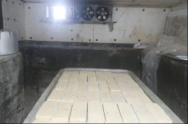 Լոռու մարզում կասեցվել է կաթնամթերքի արտադրամասի արտադրական գործունեությունը