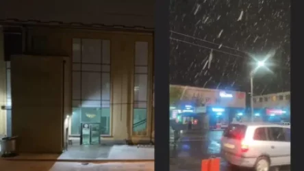 ՏԵՍԱՆՅՈՒԹ․ Գյումրիում և Երևանում գարնան կեսին ձյուն է տեղում