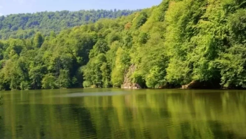 Forbes-ը «Խոսրովի անտառ»-ը և «Դիլիջան» ազգային պարկը ներառել է «Կովկասի բնության հրաշալիքների» ցանկում