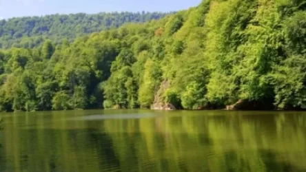 Forbes-ը «Խոսրովի անտառ»-ը և «Դիլիջան» ազգային պարկը ներառել է «Կովկասի բնության հրաշալիքների» ցանկում