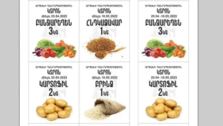 ԼՈՒՍԱՆԿԱՐ․ Այսօրվանից Արցախում կմեկնարկի նոր կտրոնների տրամադրման գործընթացը