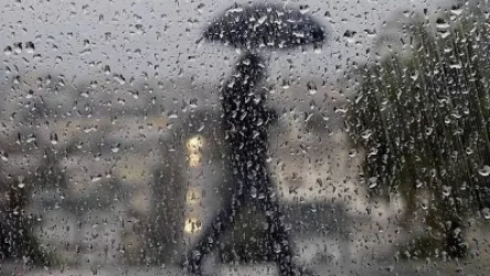 Տեղումներ են սպասվում