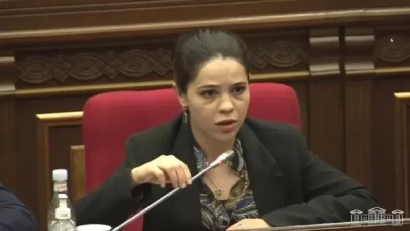 Փաշինյանի հայտարարությունները վնաս են հասցնում պետությանը. «Իմ քայլի» նախկին պատգամավոր