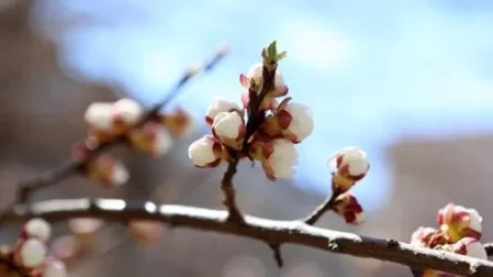 ՀՀ որոշ շրջաններում անձրև կգա. եղանակի տեսություն