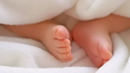 Ով և ինչպես պետք է ստանա երեխայի ծննդյան, մայրության և երեխայի խնամքի նպաստները. նախարարությունը մանրամասնում է