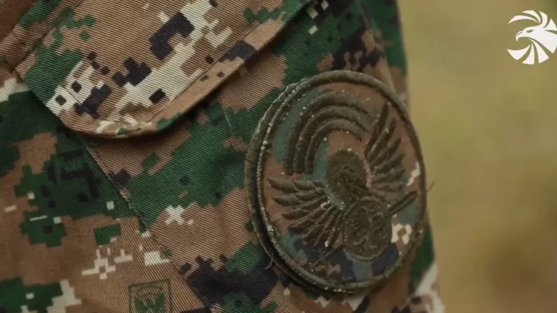 Մայիսի 1-ից մինչև հուլիսի 7-ը պահեստազորայինների վարժական հավաքներ են անցկացվելու