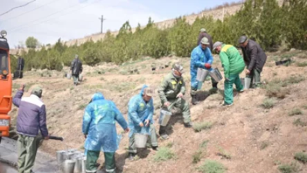 ԼՈՒՍԱՆԿԱՐՆԵՐ․ Ծառատունկ՝ Եռաբլուրում