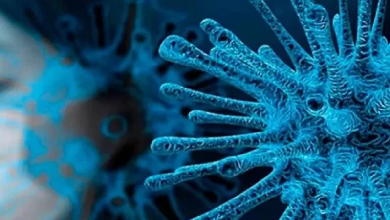 Համավարակի ամենասուր պահը մոտենում է ավարտին․ Bloomberg