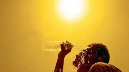 Խորհուրդ է տրվում խուսափել արևի ուղիղ ճառագայթներից