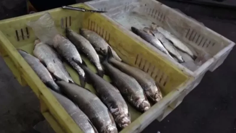 27 և 38-ամյա տղամարդկանց բերման են ենթարկել սիգ վաճառելու համար