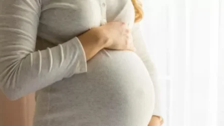 Զինվոր կորցրած մայրերից 27-ը հղի են