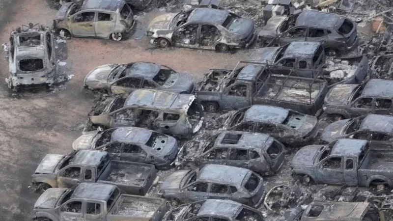 IMAGES: Consequences of Forest Fires in Maui, Hawaii