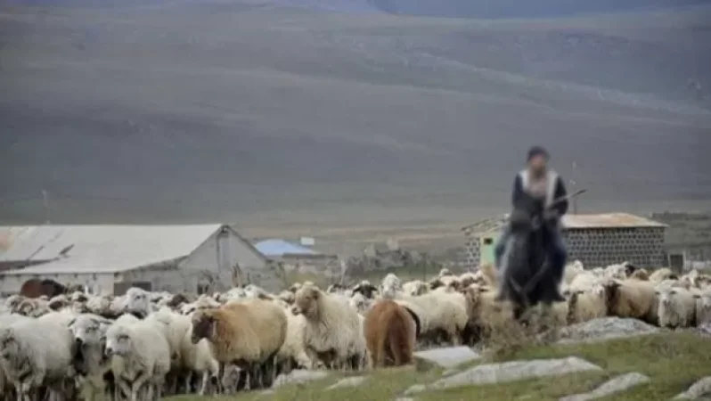 Ռուս սահմանապահներն բանակցություններ են տանում  հովվին վերադարձնելու ուղղությամբ․ Sputnik Արմենիա