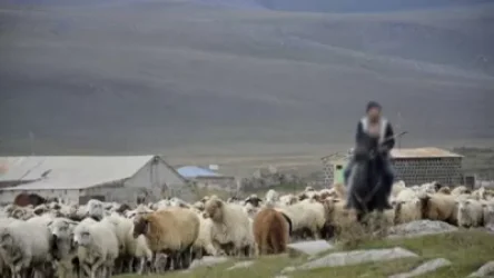 Ռուս սահմանապահներն բանակցություններ են տանում  հովվին վերադարձնելու ուղղությամբ․ Sputnik Արմենիա