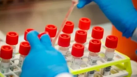 Կորոնավիրուսի թարմացված տվյալները