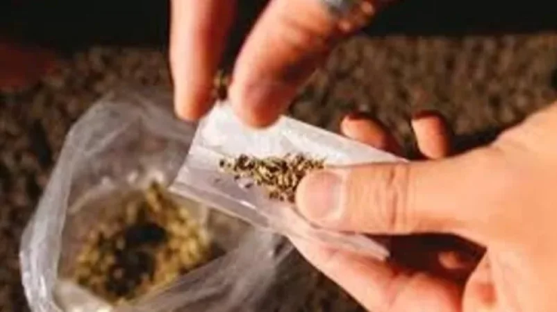 Կանանց շրջանում ավելացել է թմրամիջոց օգտագործողների թիվը. առողջապահության փոխնախարար